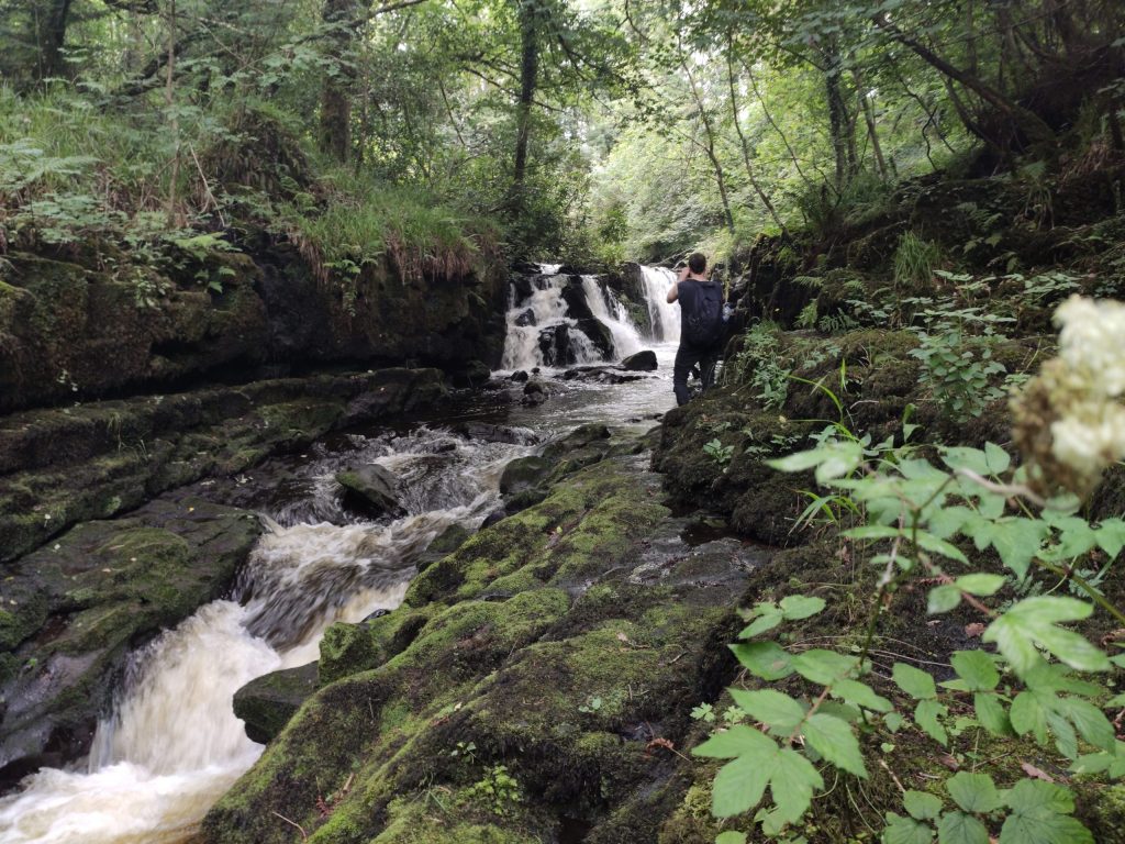 Vida en Irlanda